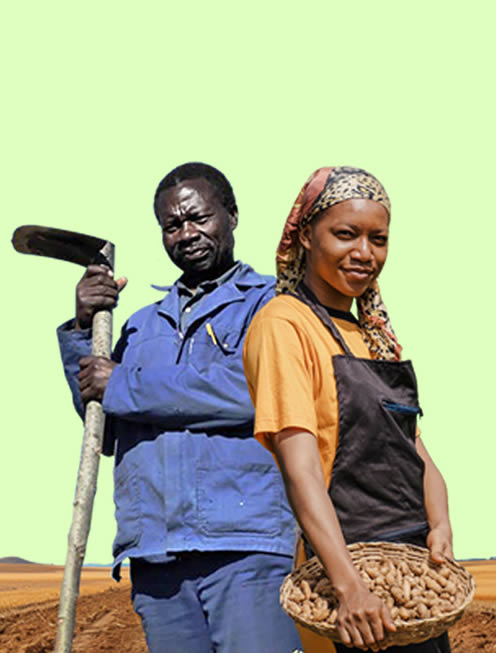 Dryland Agriculture & Food Systems Platform